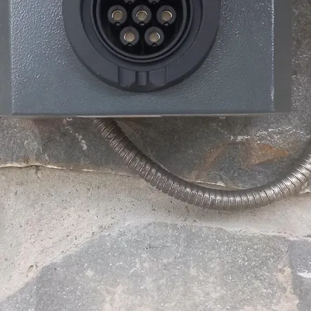 забаганка *