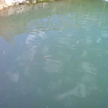 забаганка Dom wakacyjny *